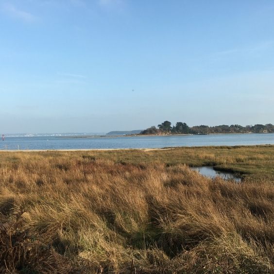 RSPB Arne Poole Harbour