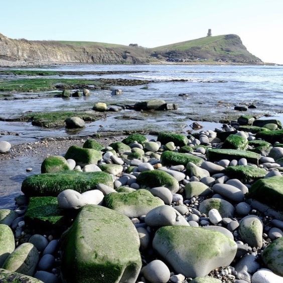 Kimmeridge Bay part of the Jurassic coastline