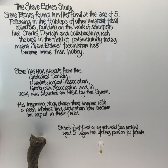 Steve Etches first fossil at 5 years old