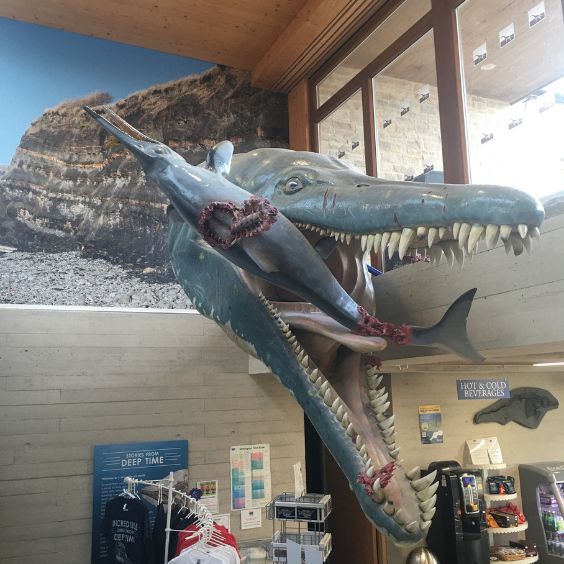 The Etches Collection Museum