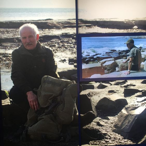 Steve Etches owner of The Etches Collection 