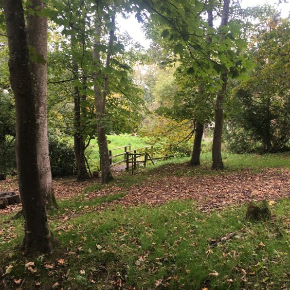 The Woodland Walk at Lulworth Castle