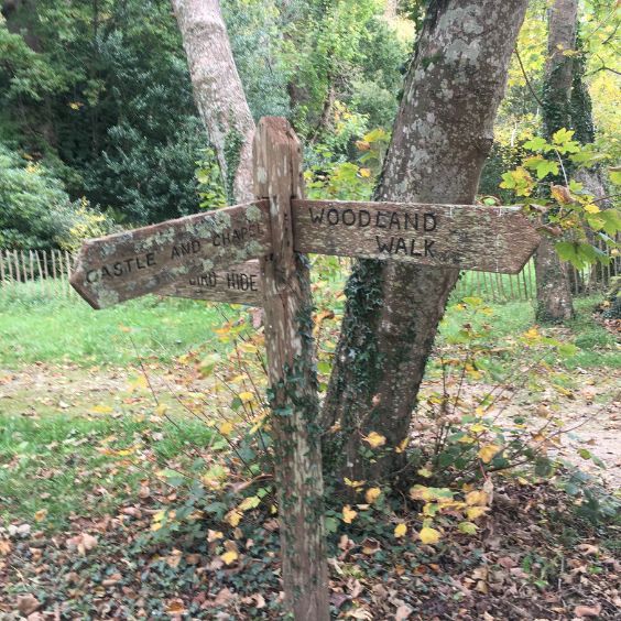The Woodland Walk at Lulworth Castle