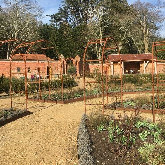 Careys Secret Garden, the second of the 2 tranquil Dorset gardens we visited