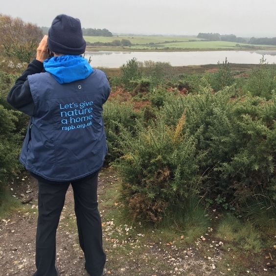 Walking event at RSPB Arne
