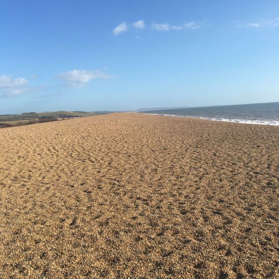 Chesil Bank (Beach)