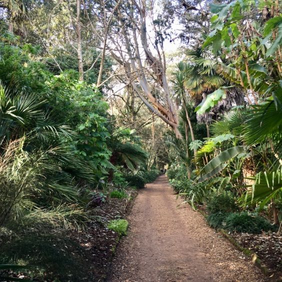 Abbotsbury Subtropical Garden