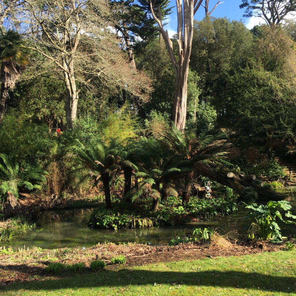 Dorset garen Abbotsbury Subtropical Garden