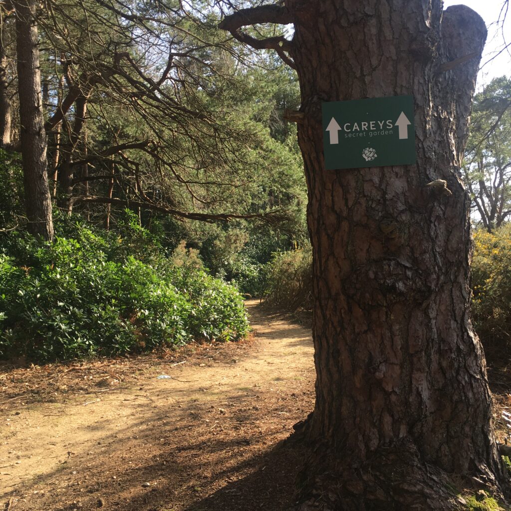 Dorset garden Careys Secret Garden