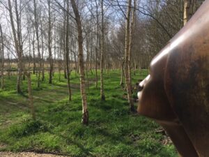 Whispering Spirit at the sculpture park in Dorset