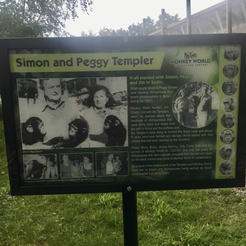 Information about how Monkey World started 