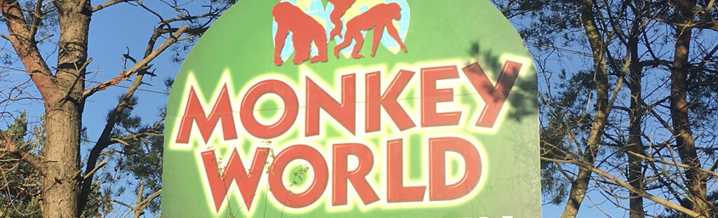 Monkey World perfect for sightseeing