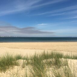 Studland Bay