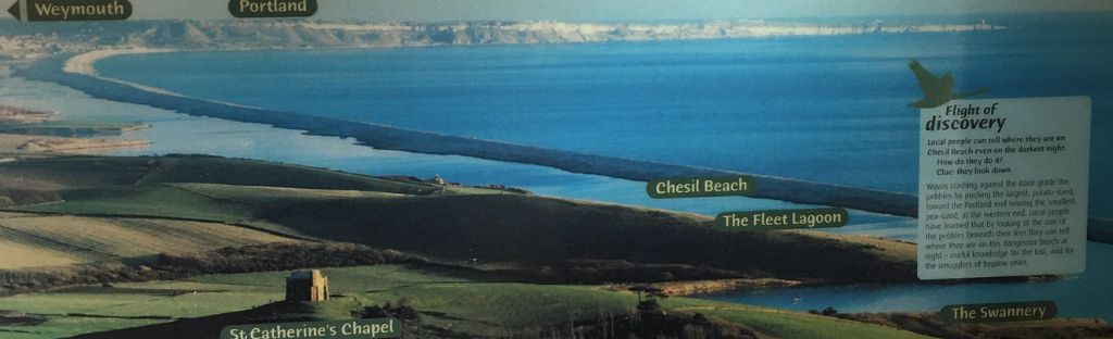 Fleet Lagoon Reserve